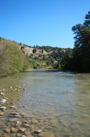 New Mexico Fishing River