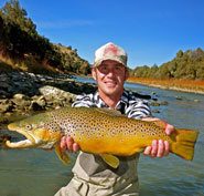 Chama Brown Trout WL