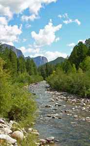 Fly Fishing Packages NM
