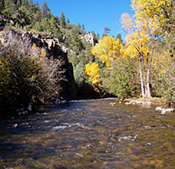 Pecos River Fall Colors