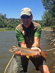 Brown Trout Chama River NM