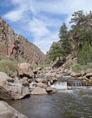 River Fishing New Mexico