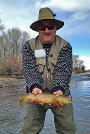 New Mexico Brown Trout
