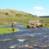 Fishing an Alpine Meadow Stream in Northern New Mexico