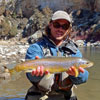Nice Chama River Brown Trout - November in Northern New Mexico