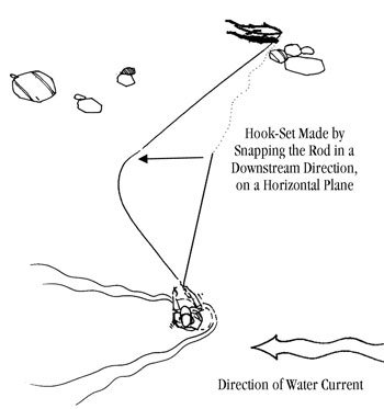 Hookset Direction - Downstream - Troutbitten