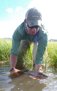 Releasing A Trout