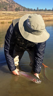 Navajo River Fly Fishing