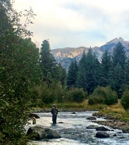 Dry Fly Fishing New Mexico