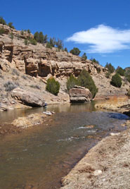 Spring Fishing Pecos River