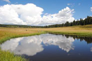 Brook Trout Pond NM