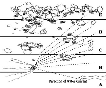 Fly fishing shop tips