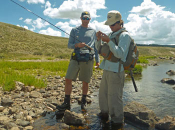 New Mexico Fishing Guide