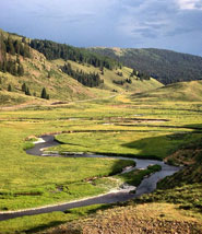 Small Stream Fly Fishing NM