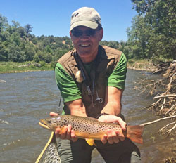 Chama River Brown Trout