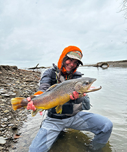 Jess Gantos Brown Trout Website