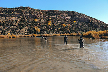 Anglers wading river