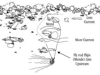 Mending With A Fly Rod