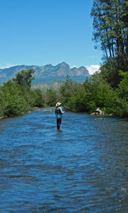 Summer Fishing Navajo River