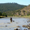 Netting a Fish - Summer Fly Fishing on the Chama