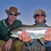 A Big New Mexico Rainbow Trout  That Fell For a Mouse Pattern