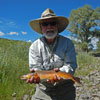 A Beautiful Southern Colorado Brown Trout that Fell for a Stonefly