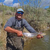 A 26 Inch Long Rainbow Trout on a Size 26 Midge - Wade Fishing on the San Juan River
