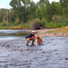 Fishing with Buddy at the Abeyta Ranch - Late Summer on the Conejos River