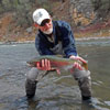 Lake Run Rainbow Trout - Springtime Fly Fishing on the Chama River