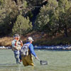 Angler and Fishing Guide - October on the Chama River, NM