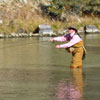 Fall Fly Fishing on the Chama River in New Mexico
