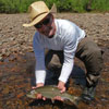 Nice Rainbow Trout - Conejos River Fly Fishing