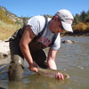 Late Summer Fly Fishing - Chama River, NM